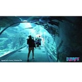 ویدیو آکواریوم دبی و باغ وحش زیر آب دبی مال - اختصاصی بیسان گشت