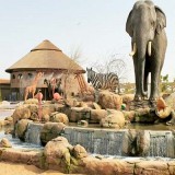 باغ وحش دبی به خاطر افتتاح پارک سافاری این شهر تعطیل شد