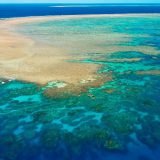 دیواره بزرگ مرجانی ؛ بزرگترین صخره مرجانی در استرالیا