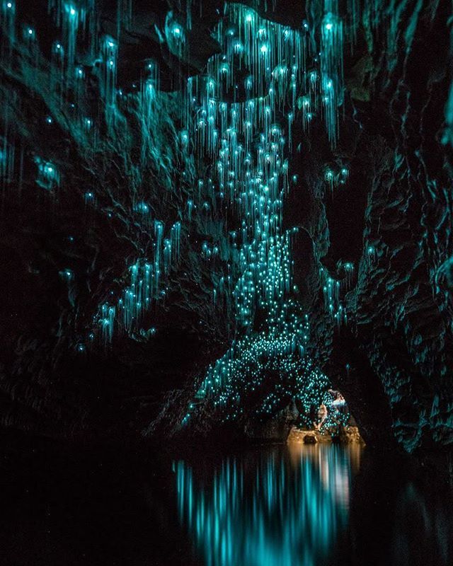 غار وایتومو در نیوزلند