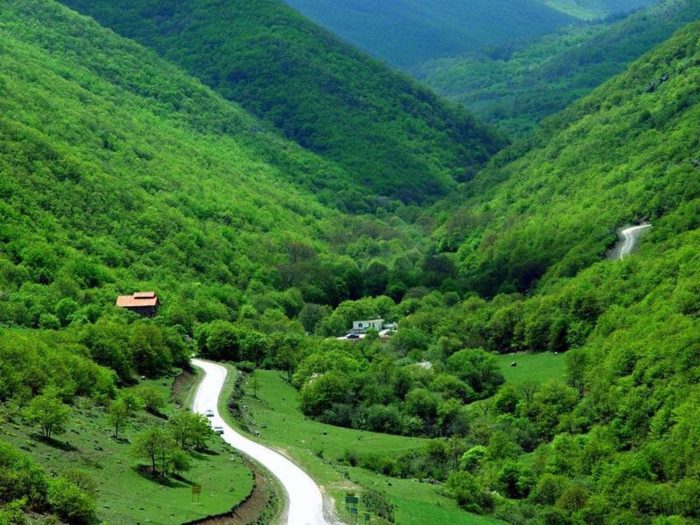 جنگل های ارسباران