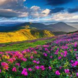 دره گلها ارمنستان و پیست اسکی تساغکادزور